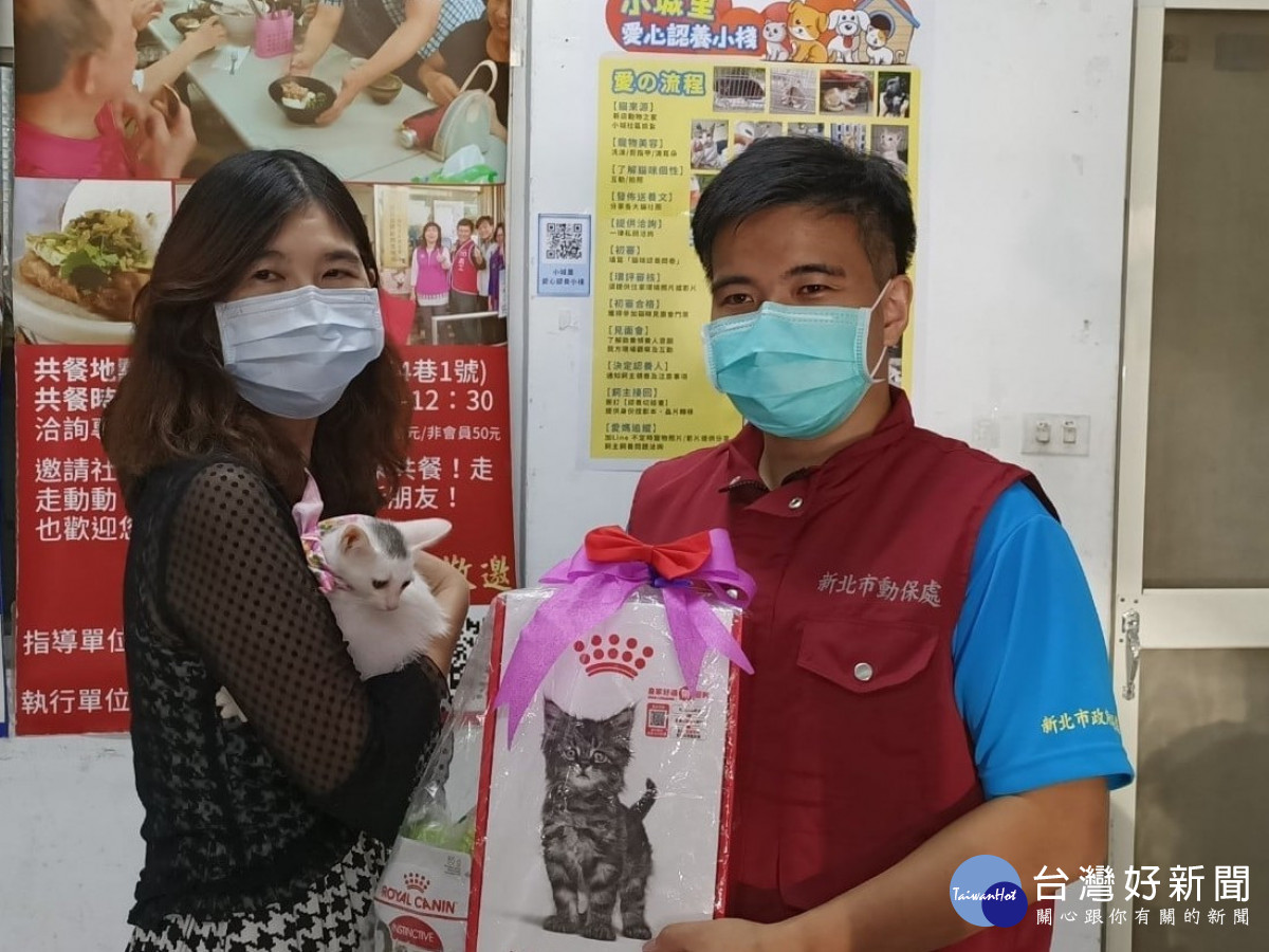 號召里民擔任動物保姆　新店小城里認養小棧已送養逾百隻貓-指尖日報