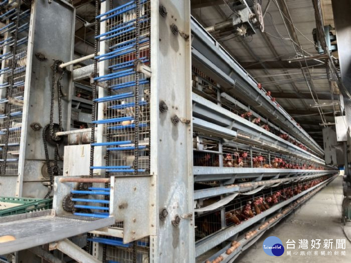 桃市向中央爭取家禽產業升級經費，提升家禽產能。