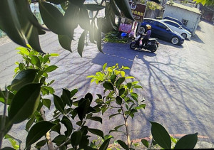 桃市環保局祭出科技執法，亂丟垃圾開罰4件。