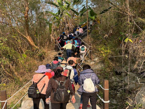 太平枇杷健行。林重鎣