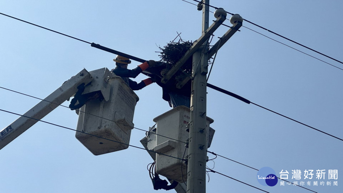 ▲維繫生態穩定供電，台電高雄區處出動升空車幫喜鵲搬家。（圖／記者 許高祥 翻攝）