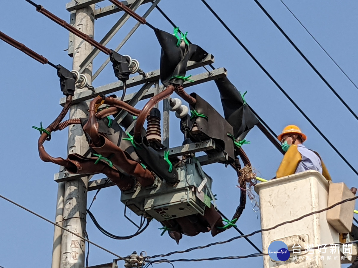 台電人員發現鳥類築巢影響供電，即盡速清除，以免產生停電事故。
