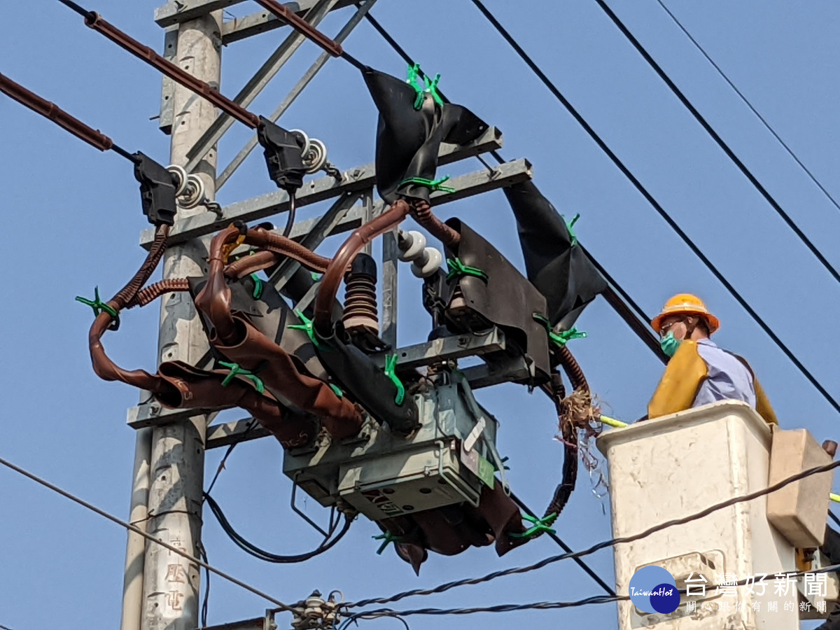 台電人員發現鳥類築巢影響供電,即盡速清除,以免產生停電事故。