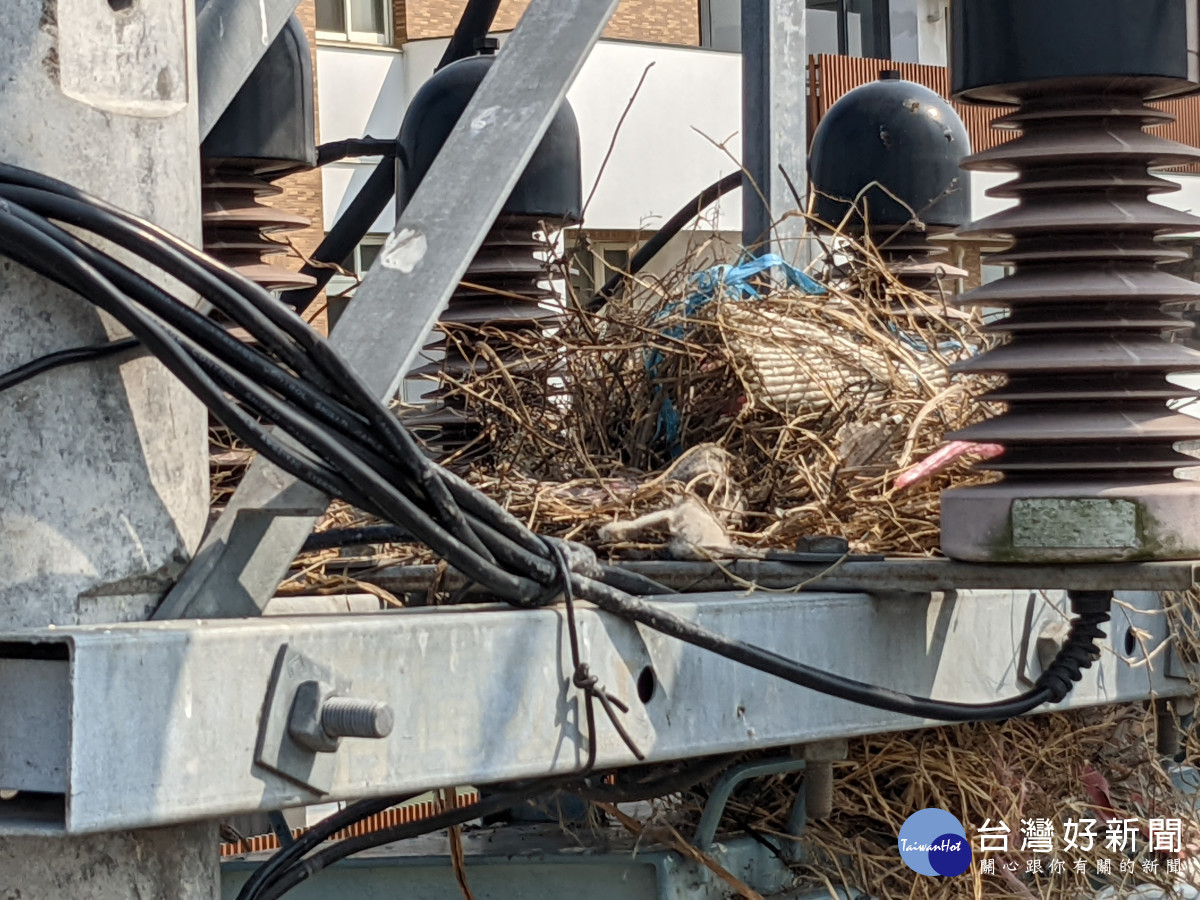 鳥類築巢時的「巢材」會參雜鐵絲、鐵釘，甚至電線等導電物質，易造成跳電的停電事故。