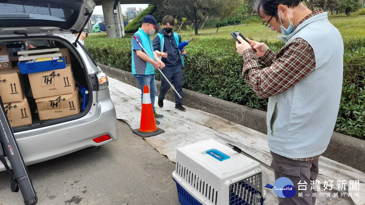 桃園市政府農業局持續搜尋失蹤狒狒。