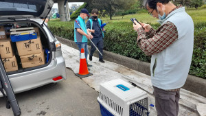 桃園市政府農業局持續搜尋失蹤狒狒。