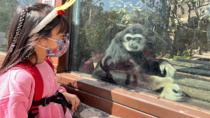 ▲4/1-4/5壽山動物園12歲以下免費入園，現場再加碼發1000張門票。（圖／記者 許高祥 攝）