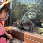 ▲4/1-4/5壽山動物園12歲以下免費入園，現場再加碼發1000張門票。（圖／記者 許高祥 攝）