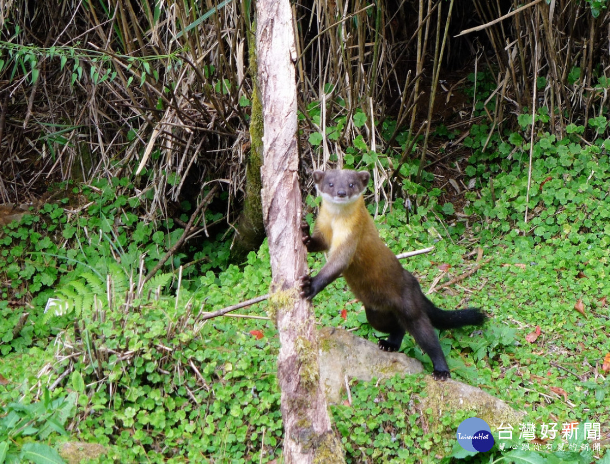 不隨意丟棄垃圾、減少園區野生動物受人類遊憩行為干擾，許給野生動物自然無塑的棲息環境 。