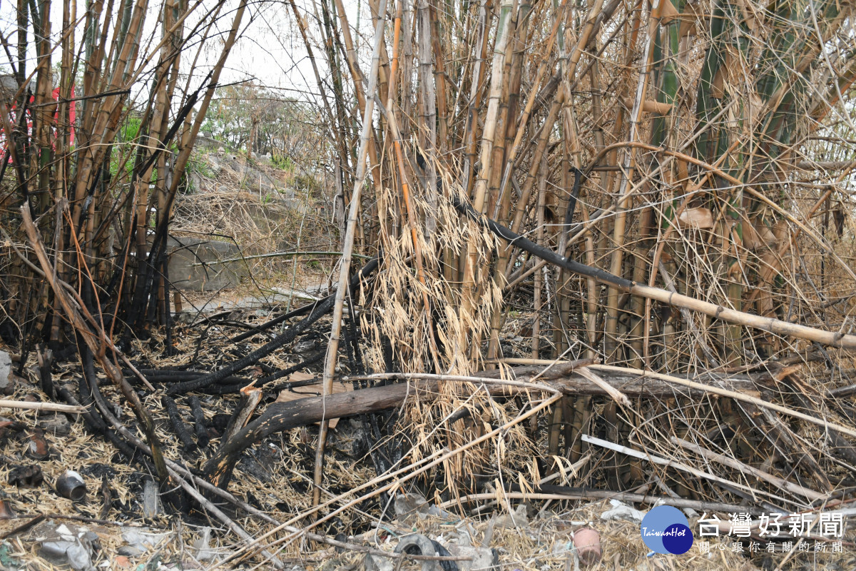 岸頭巷公墓附近3月初發生火堯山林木留下的燒黑痕跡。圖／彰化市公所提供