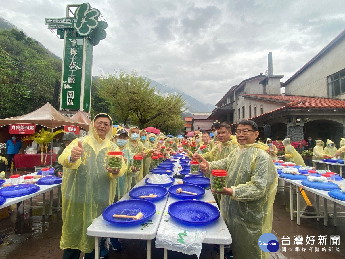 南投縣政府農業處長陳瑞慶等貴賓參與脆梅DIY。（記者吳素珍攝）