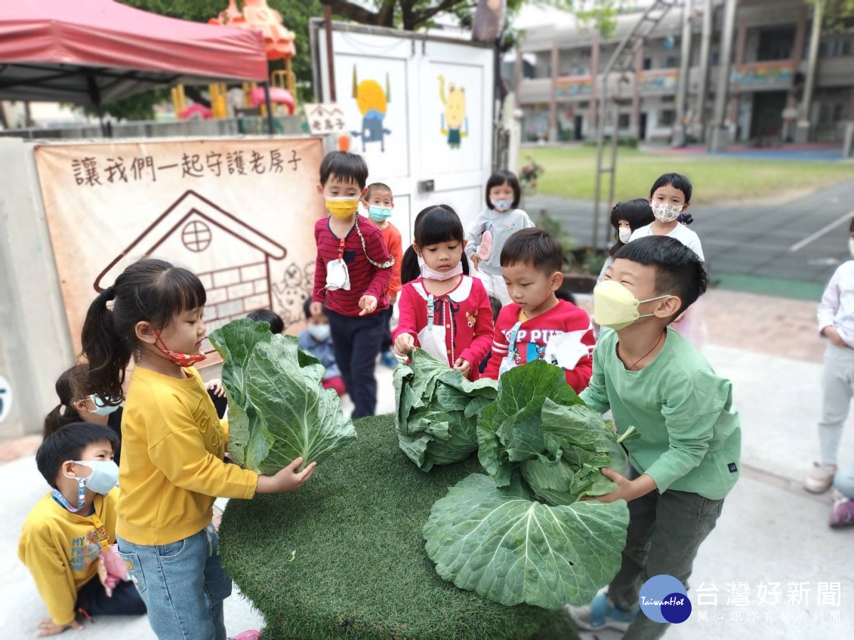 嘉義市國中小及幼兒園響應認購高麗菜／嘉義市府提供