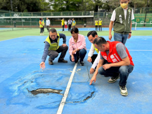 竹山鎮公所後網球場使用已久地板龜裂嚴重，立委蔡培慧會勘表示，本次結合專家學者進行研討，最終將以紅土球場的方式進行設備改善。
