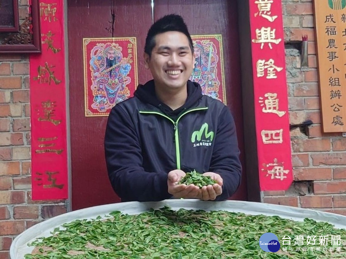三峽青農八代傳承技術　周子耀種出獨家好茶