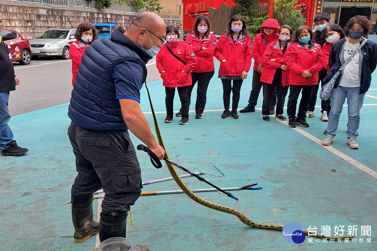 桃園市政府舉辦捕蜂捉蛇工作教育訓練，教官說明如何捕蛇。