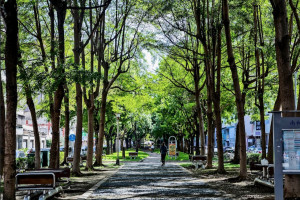 南區綠覆面積寬廣，自樹義園道一路向北延伸，可與忠明園道連接。