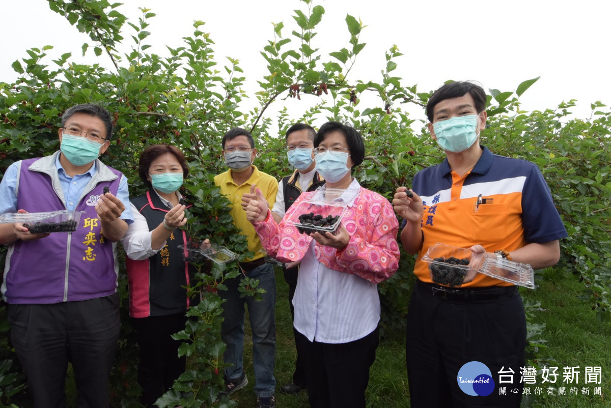 埤頭樂農休閒農場。圖／彰化縣政府提供