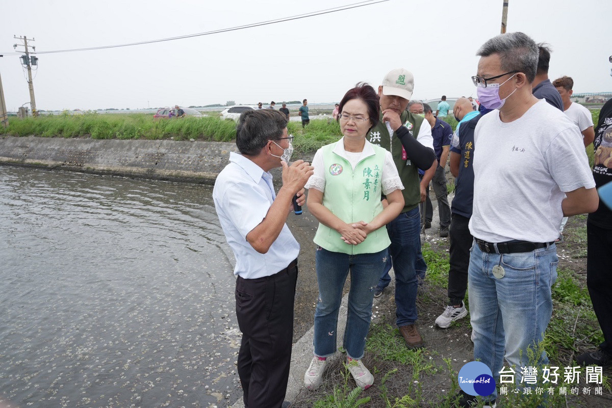 強降雨致芳苑文蛤大量死亡　立委陳素月為民爭取天然災害救助