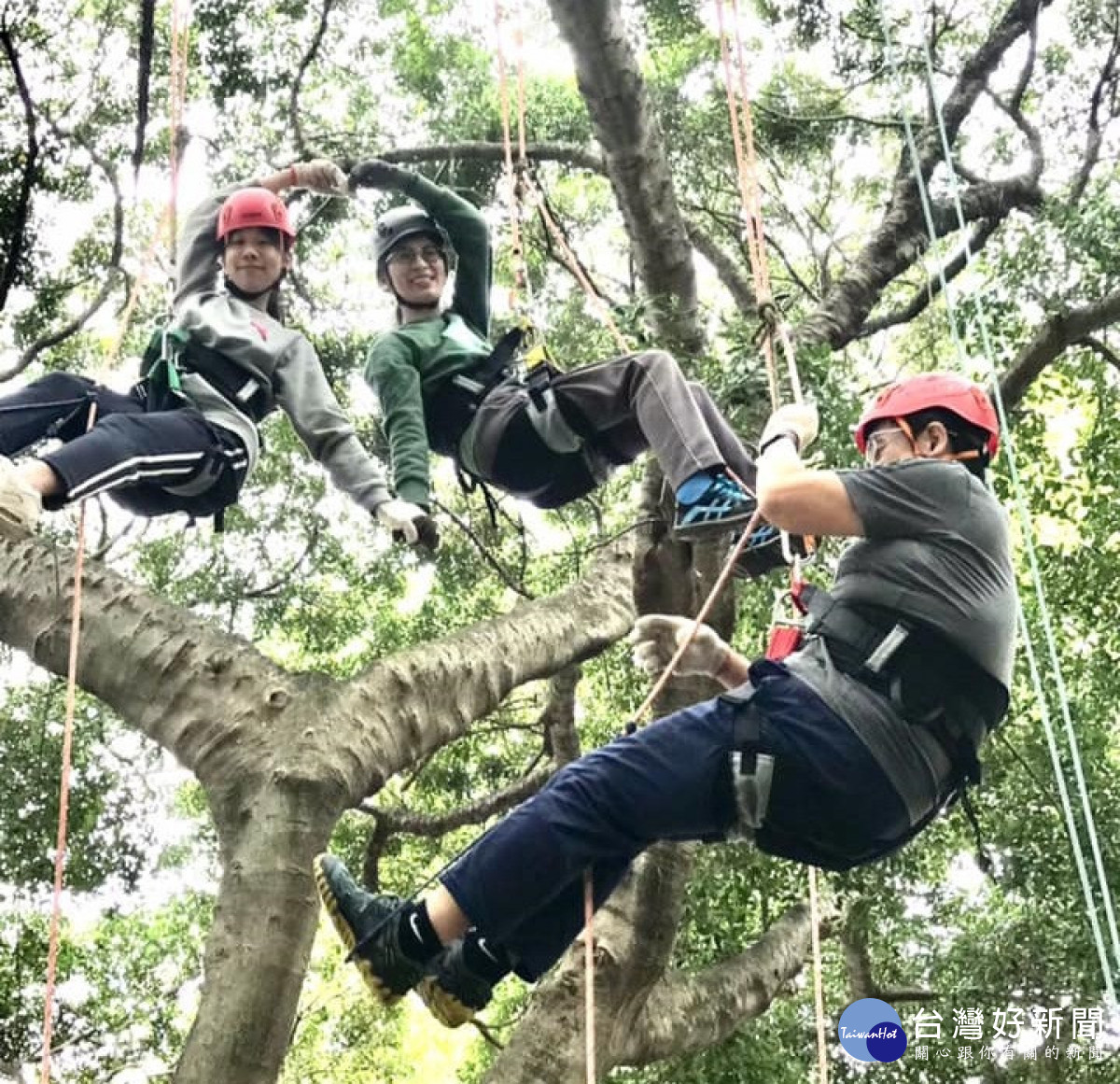 陽明交大體育教育舉辦攀樹活動鼓勵師生親近大自然