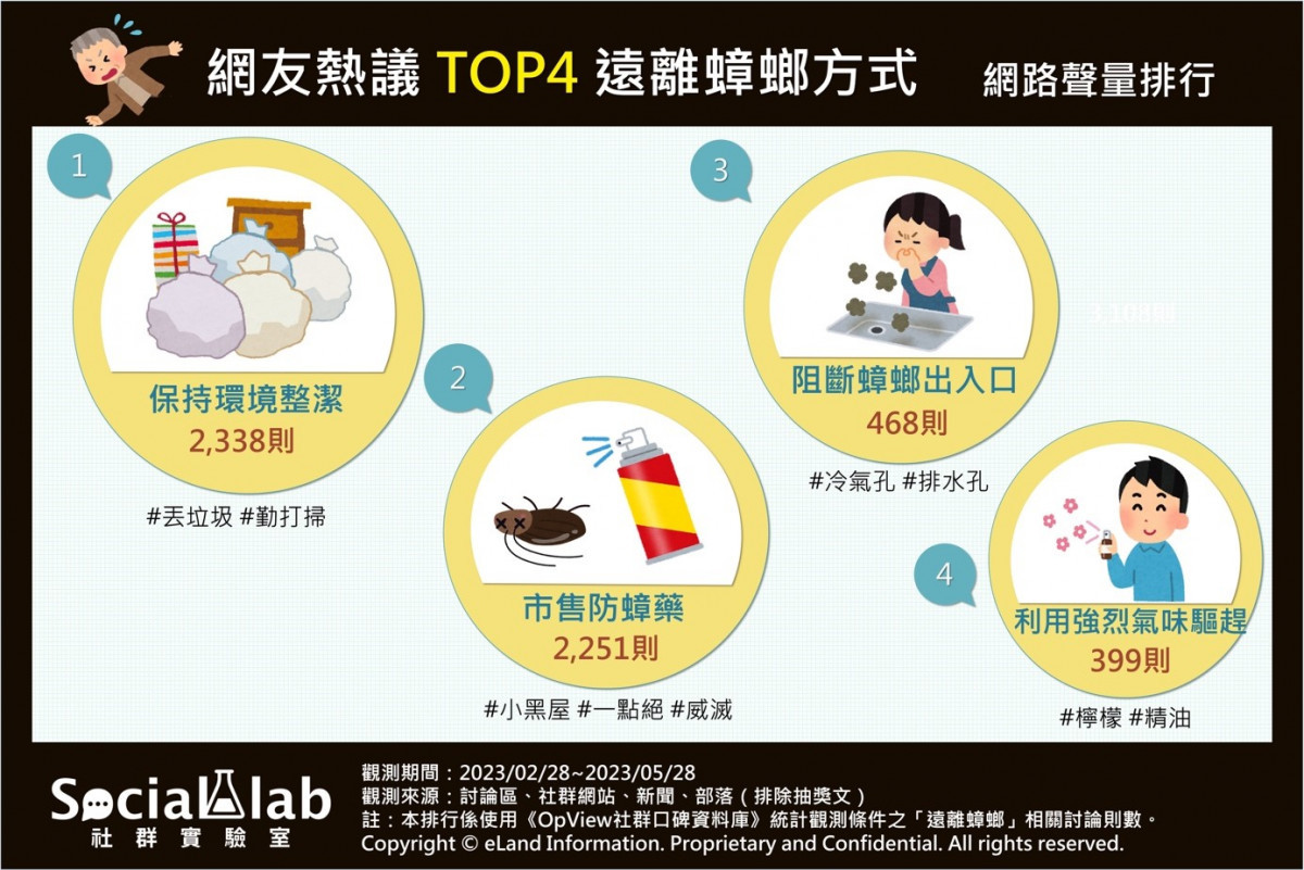家中小強又出沒？　網推四大遠離蟑螂方式一次看
