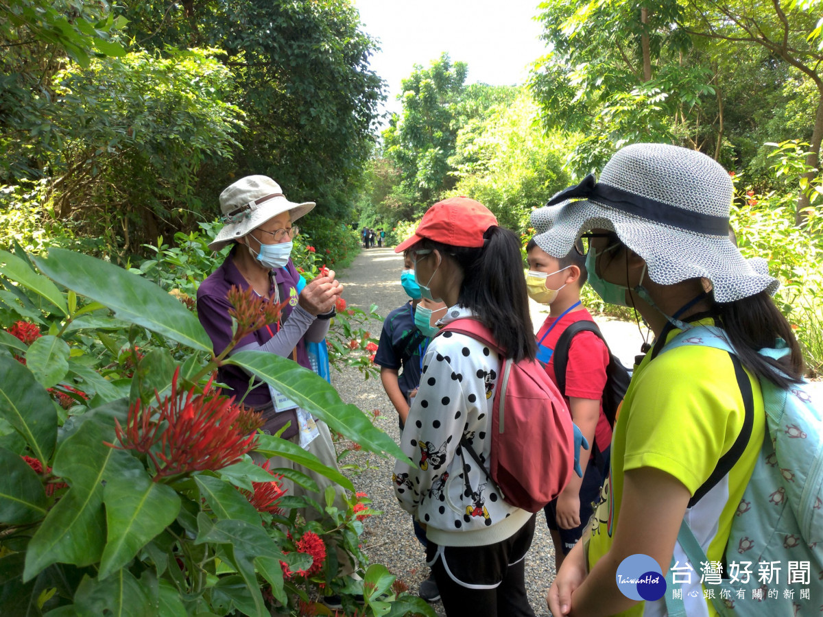 新北水環境夏令營　「濕地河你在一起」受理報名