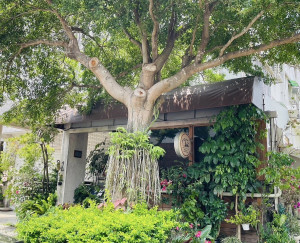 新住民伍言中夫婦經營的衛蕾原味攻坊。（移民署南投站提供）