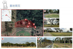 ▲仁武區40公頃森林浴場將規劃打造成寵物同樂空間。