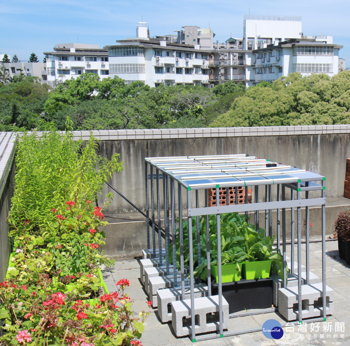 DIYGreen屋頂農園結合太陽能板　讓蔬菜能照到陽光順利生長-指尖日報