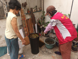 嘉義市於4月即成立登革熱巡查大隊，進行孳生源清查，持續監控病媒蚊密度／嘉義市衛生局提供