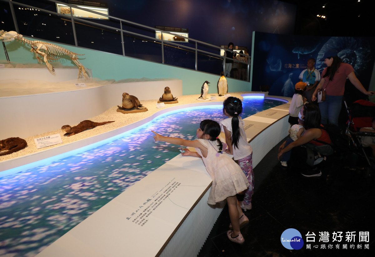 放暑假囉！　科博館推《在海之濱》特展　一窺5億年前古生物奇幻世界