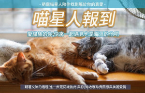 單身聯誼活動 : 喵星人派對