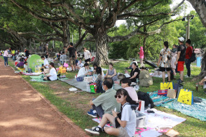 炙熱的陽光下大家在中興新村大樹下進行野餐派對。（記者扶小萍攝）
