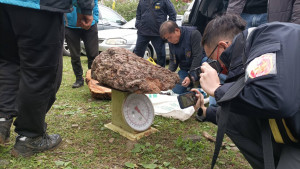 新竹林管處會同內政部警政署保安警第七總隊第五大隊對扣案木進行測量(新竹林管處提供)。