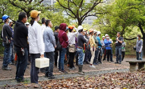▲高市景觀樹木修剪技術認證班開放報名。