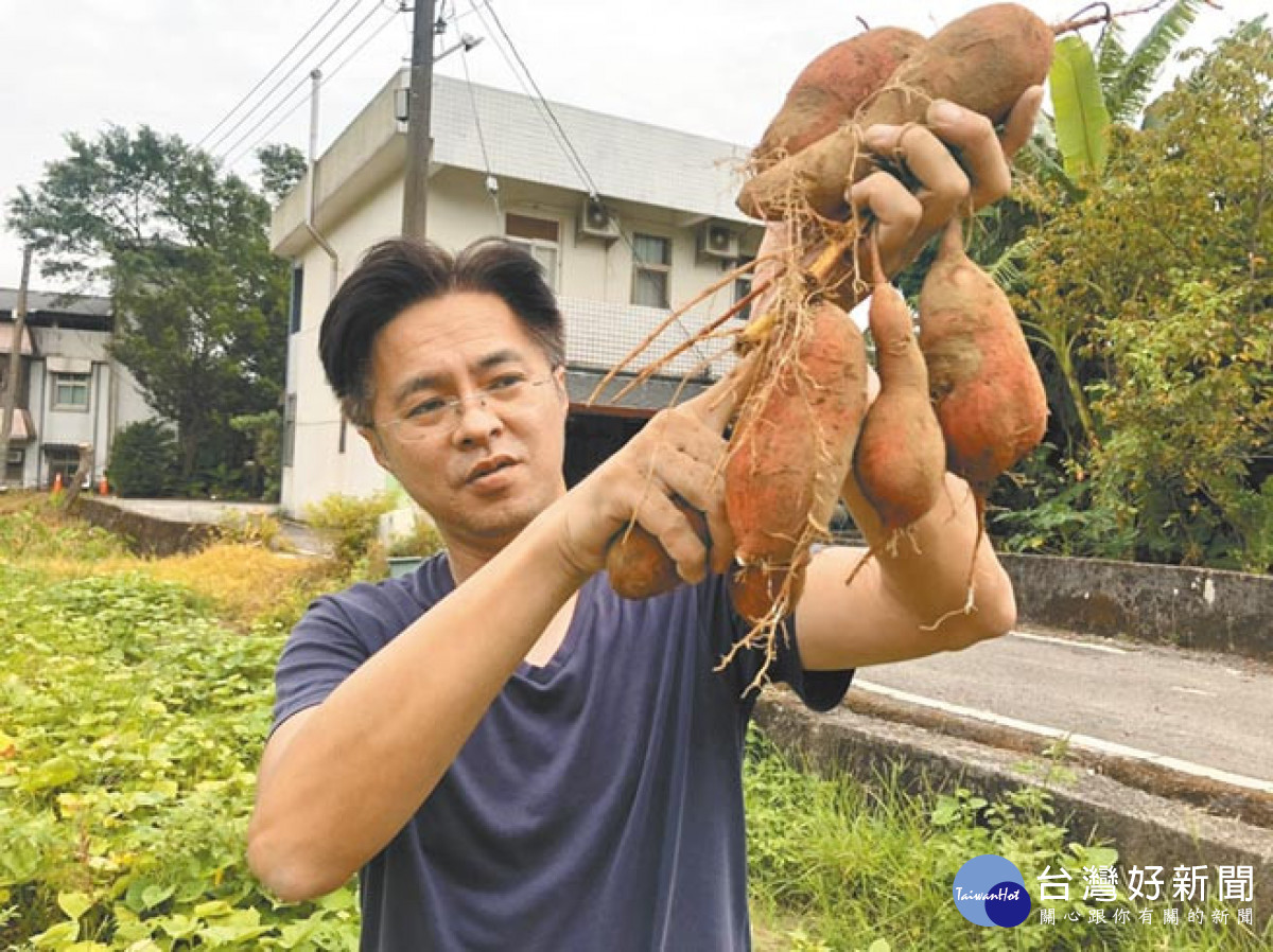 「2023北海潮與火」8/12登場　朱銘美術館搶先開放免費五感體驗