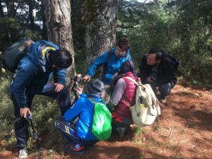 在科學探究與實作課程中，於野生動物出沒點，架設紅外線自動照相機觀察其行為。（圖/玉管處提供）