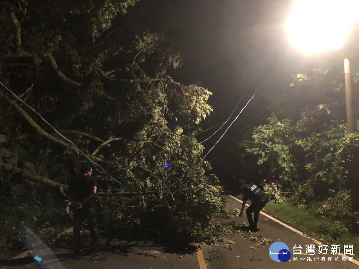 路樹不敵颱風襲擊，龍潭警徒手移樹交通管制及排除道路障礙。