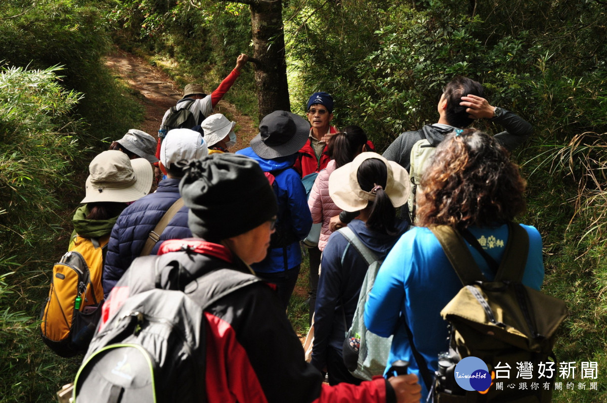 專人帶領漫遊塔塔加地區步道，體驗豐富自然生態環境（圖/玉管處提供）