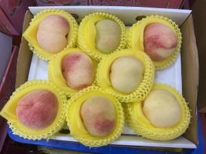 南投縣府發起員工團購災區農產。（縣府提供）