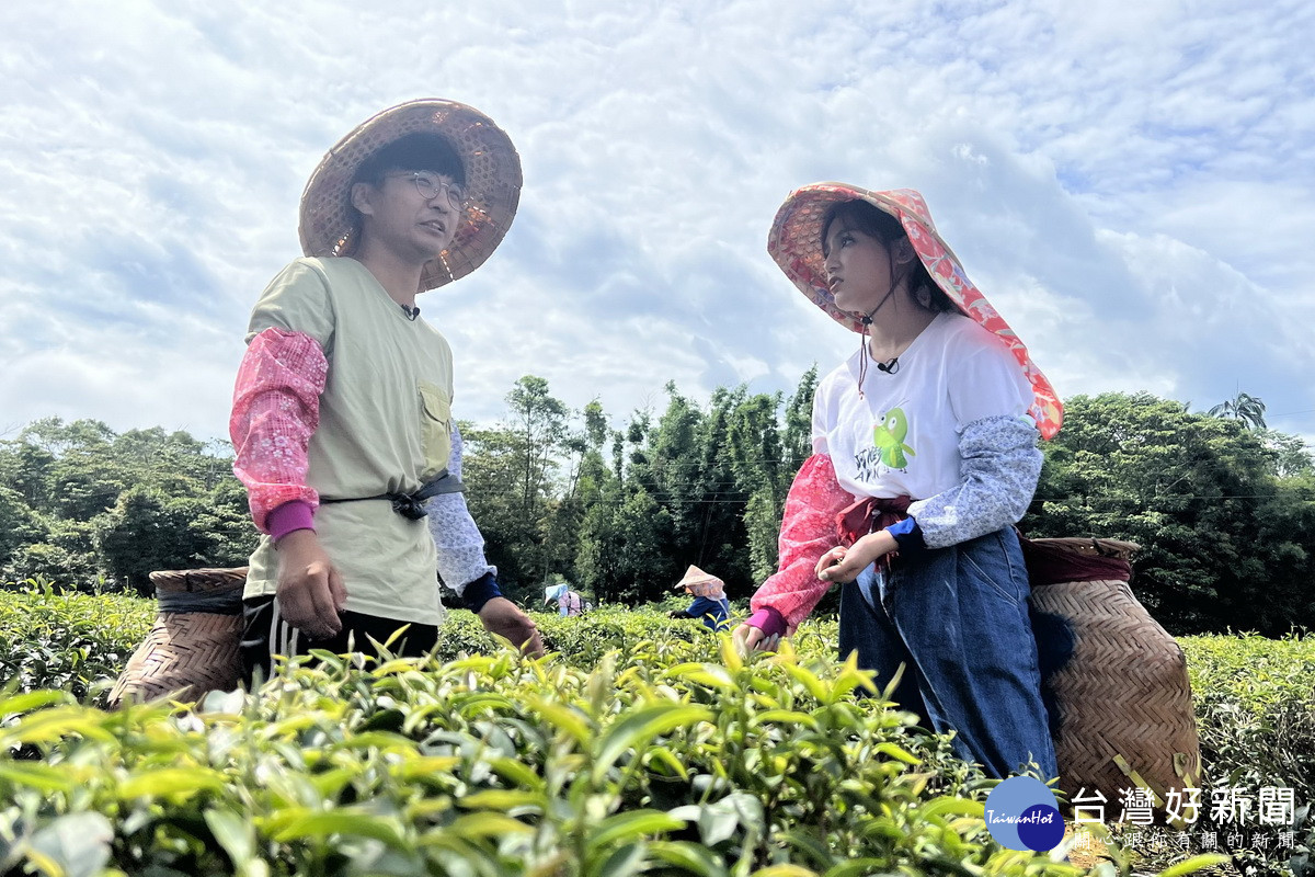 網路節目《趣桃Chill嗨嗨》直擊龍潭百萬好茶的生產基地，實際體驗製茶過程。