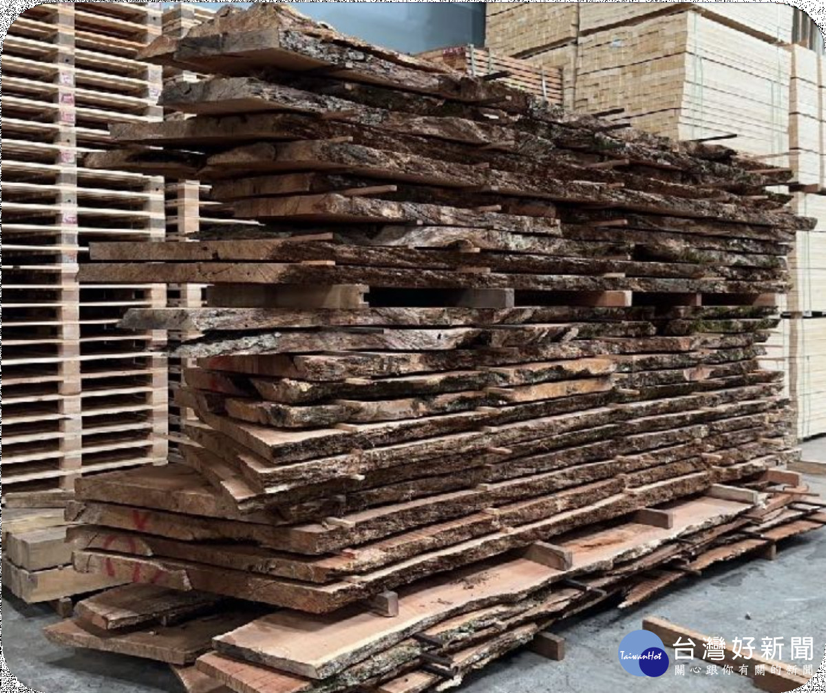 目前枯危木國產材材種有二葉松、長尾栲、紅檜、鐵杉等。
