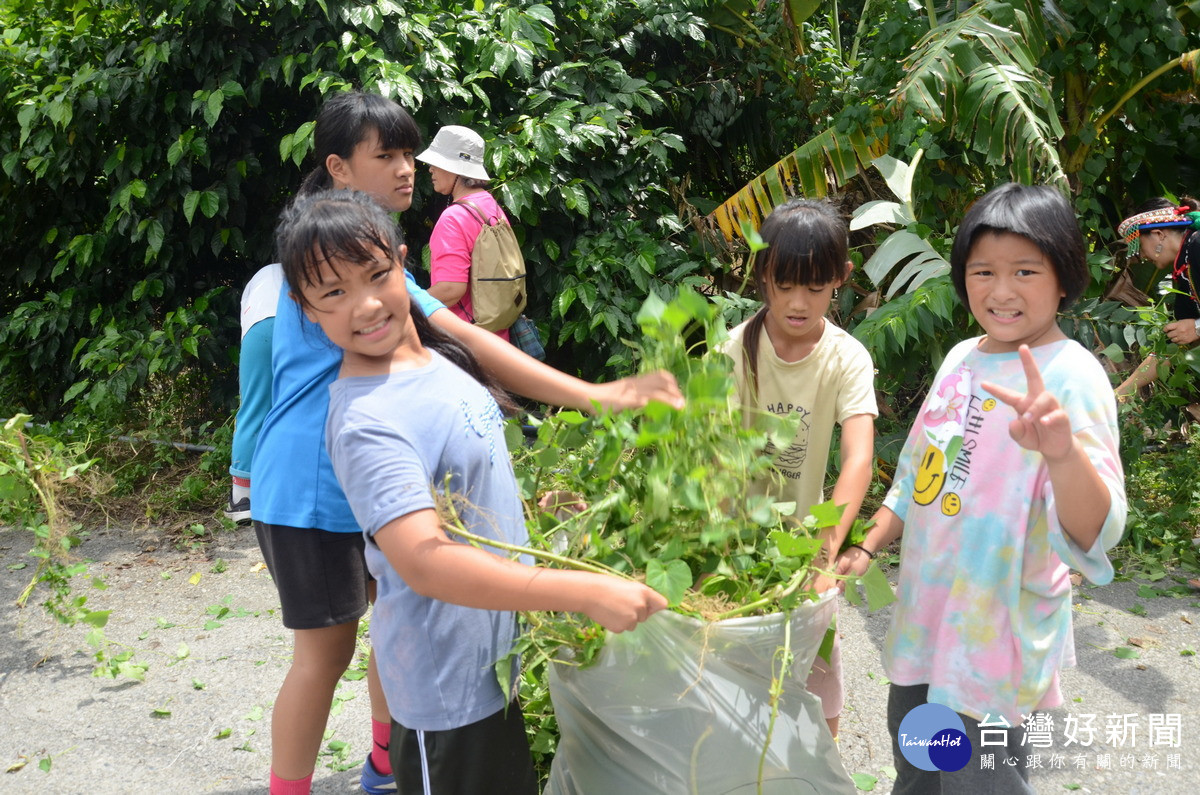 部落居民開心參加小花蔓澤蘭活動