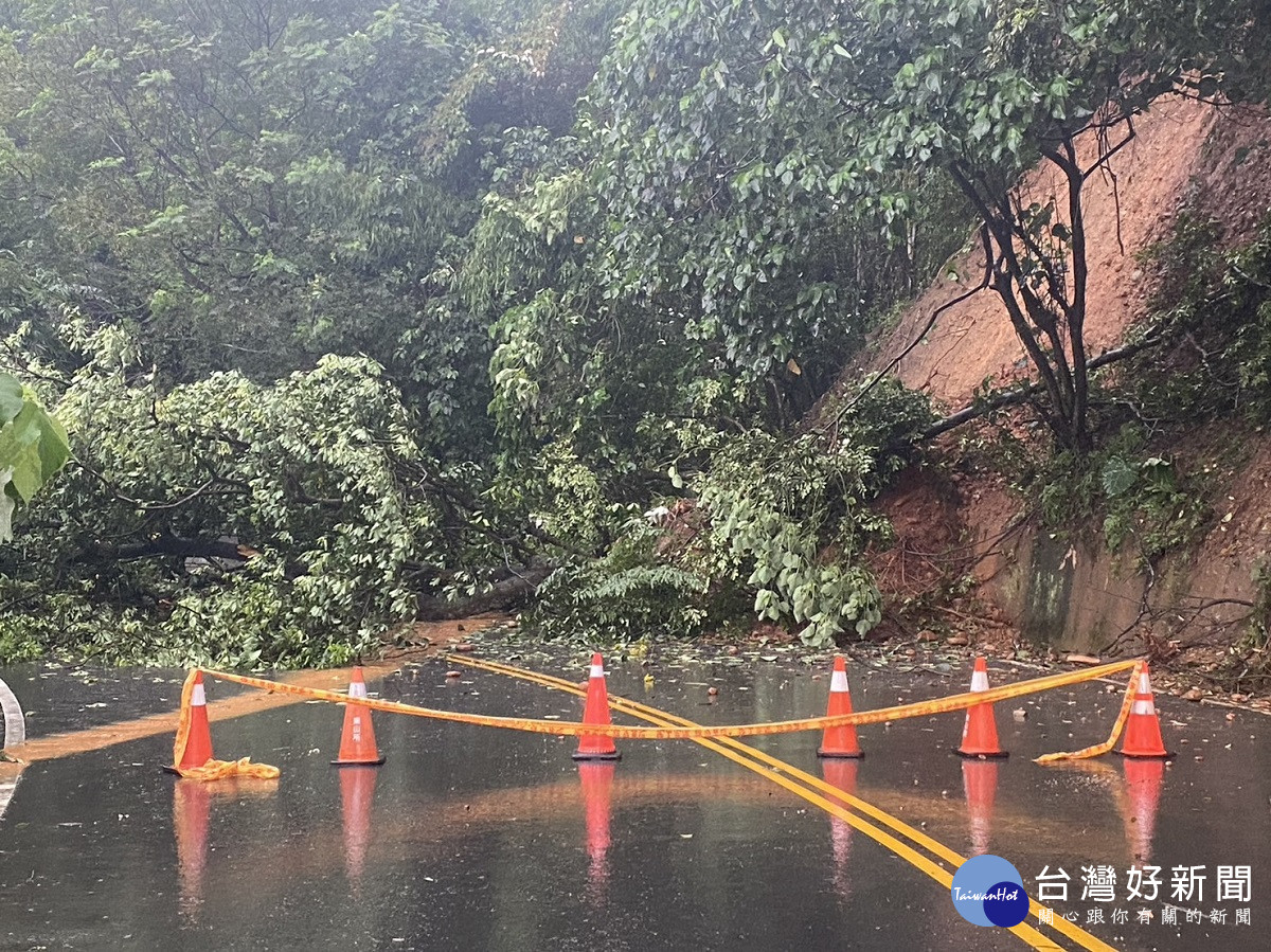 員林再下強降雨　洪水湧出土石鬆動樹木連根拔起橫躺路中