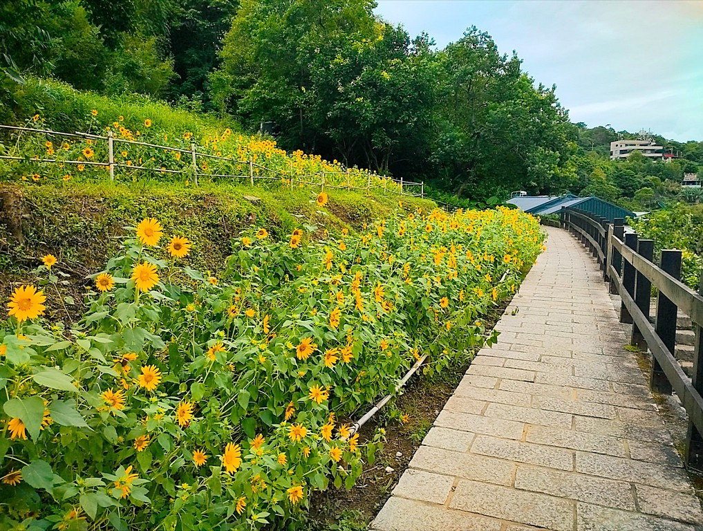 （圖／台北市府工務局大地工程處）