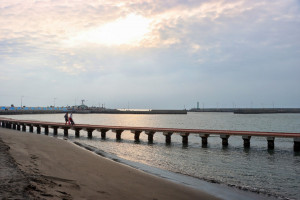 （圖／高雄市府海洋局提供）