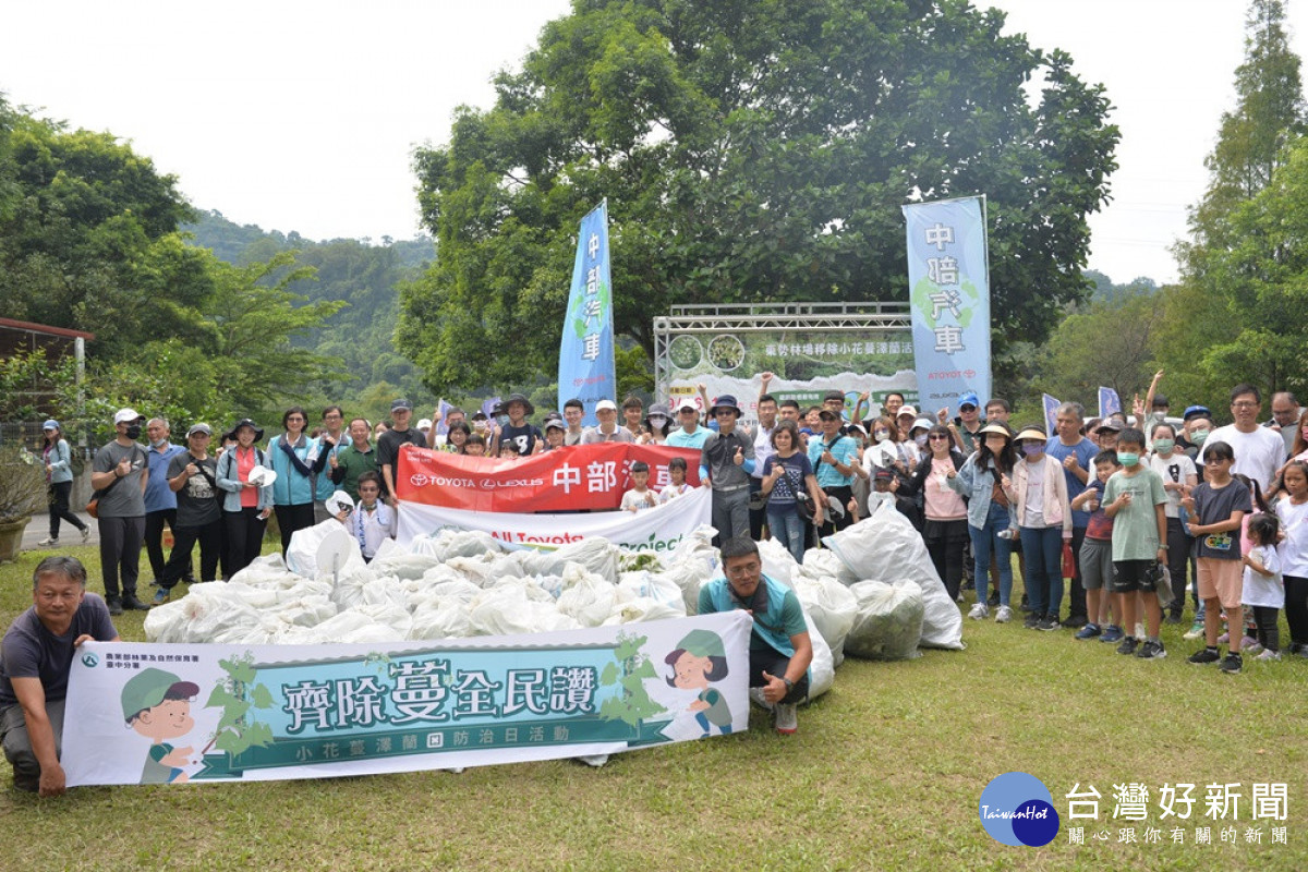 中部汽車透過環境月活動第三年發動員工及家人到東勢林場展開除蔓行動。(圖/記者賴淑禎攝)