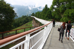 圖為清境高空觀景步道。