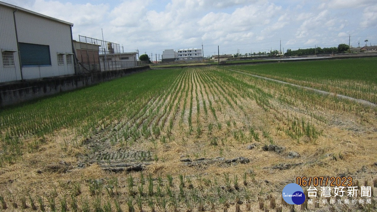 彰化分署卦山法拍市集開賣囉　10／3日邀請大家一起做伙逛市集，搶好康