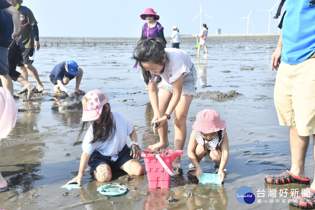 縣長王惠美參加線西一畝海的小旅行，與民眾體驗挖蛤蠣的樂趣。圖／記者鄧富珍翻攝