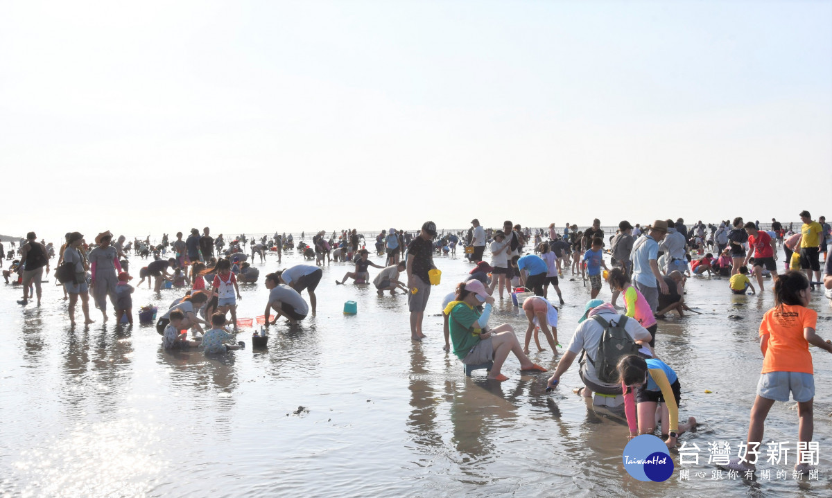 線西一畝海的小旅行，民眾體驗挖蛤蠣的樂趣。圖／記者鄧富珍翻攝